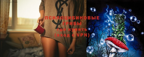 стафф Беломорск