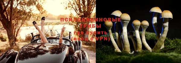 стафф Беломорск