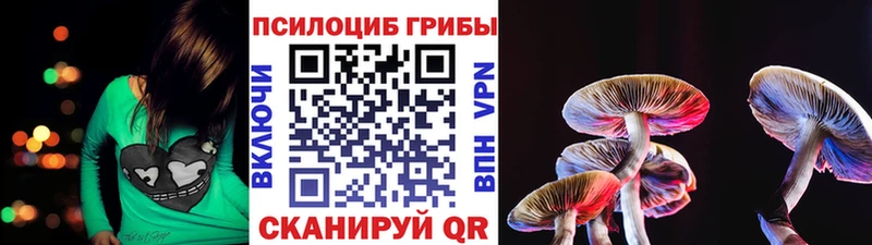 Галлюциногенные грибы мухоморы магазин продажи наркотиков Озёрск